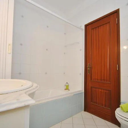 Tulipa